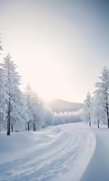 the snow - covered road has long, straight tracks and there are lots of trees