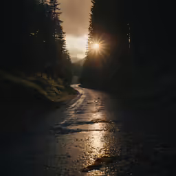 a road with the sun peeking through some trees