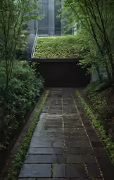 an area with plants, bushes and steps to a building