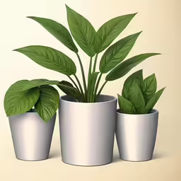 three potted plants on the floor are shown in this illustration