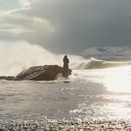 person standing on an animal in a body of water