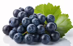 some blue berries are displayed next to a green leaf