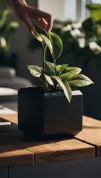 a person is putting plants in a black pot on a wooden table