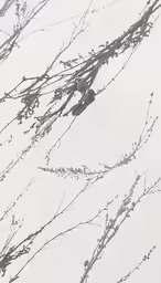 a pair of birds perched on top of a tree