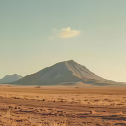 a couple zebras in the desert on the prairie