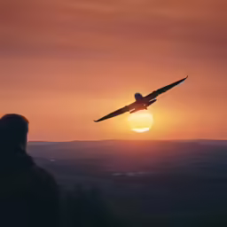 the silhouette of a man who is watching a plane fly over the sun