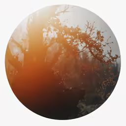 a black and white photo with an orange circle