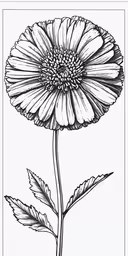 the flower of a daisy with the word,