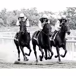 three men ride horses in the dirt near a fence