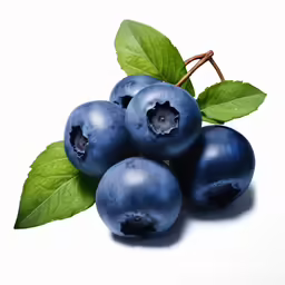 a bunch of blueberries with green leaves