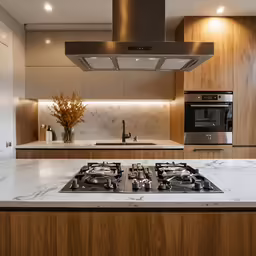 this is an interior view of a kitchen with a stove and cabinets