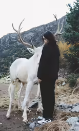the woman stands by a white and big horned animal