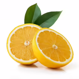 the two oranges are on a white background