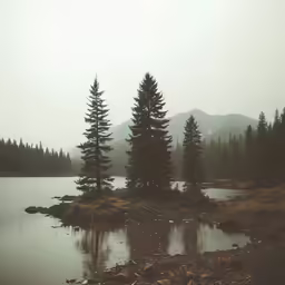 a lake surrounded by pine trees with a misty sky