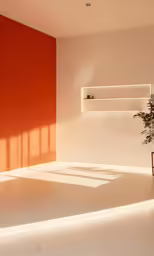 white, orange and grey walls and shelves near a plant