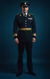 a man in military uniform is posing for a photo