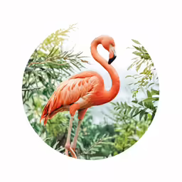 a pink bird standing in a tree surrounded by leaves