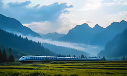 there is a long train going through the wilderness