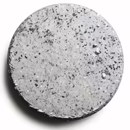 a circular, gray object is on the surface