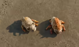two cats lay on the ground while looking up