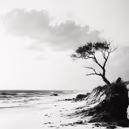 a tree sitting on top of a beach near the ocean