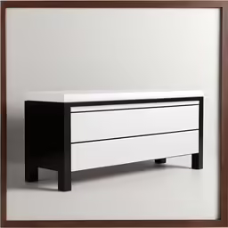 an illustration of a white and black chest