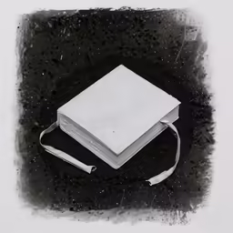 a black and white photo with an old book laying on the ground