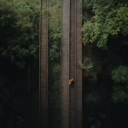 several train tracks in the middle of some trees