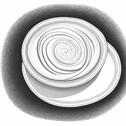 this plate is sitting next to another white object
