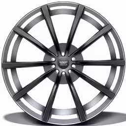 a wheel with black spokes on a white background