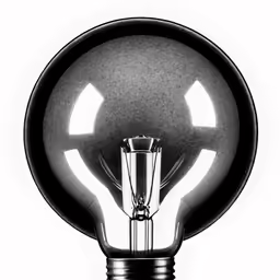 a black and white photograph of a light bulb