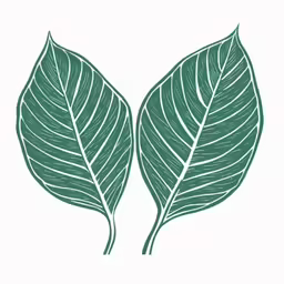 two green leaves, each with a different leaf type