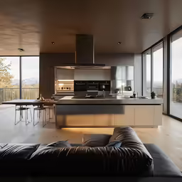 the living room and kitchen are large windows with panes