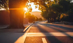 a paved road with trees next to it at sunset