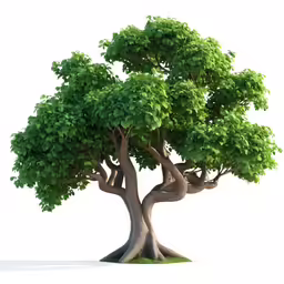 a tree with green leaves in front of a white background