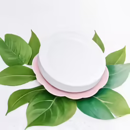 two plates with green leaves surround them on the table