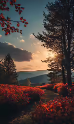 a walk way is surrounded by red flowers