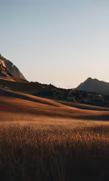 a dry grass field with the sun in the background