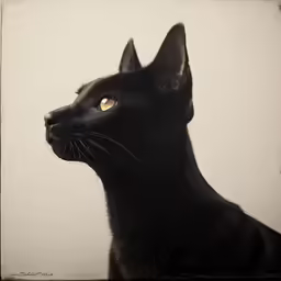 a close - up picture of a black cat looking at something off to the right
