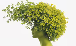 an art form with leaves in the shape of the head of a woman