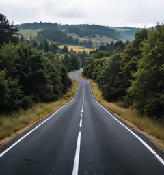 an empty road in the middle of some trees