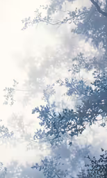 the branches of the trees in the blue tone