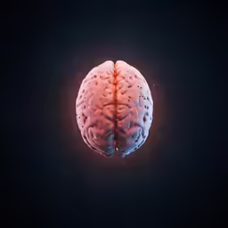 a computer - generated brain in a dark room