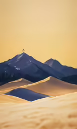 some sand dunes trees and a sky