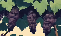 multiple images of the same head and body of a woman hanging from a tree