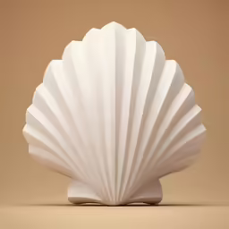 a close - up of a white shell on the ground