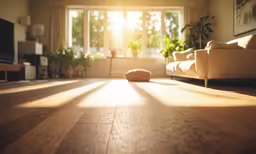 sun shines brightly onto the wood floor in a living room