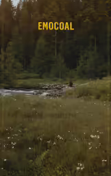 an empty field has a stream in it