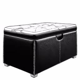 this is an image of the ottoman in black