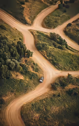 two roads in the middle of a forest